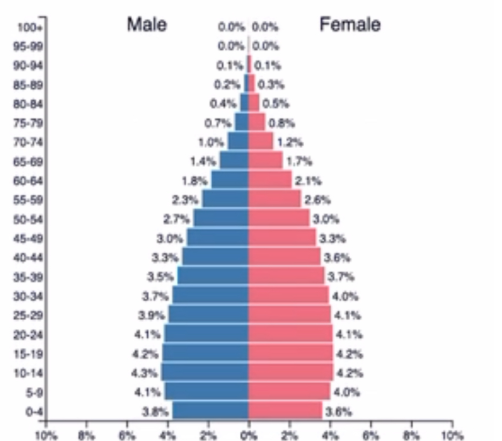 <p>What stage is this population pyramid in?</p>