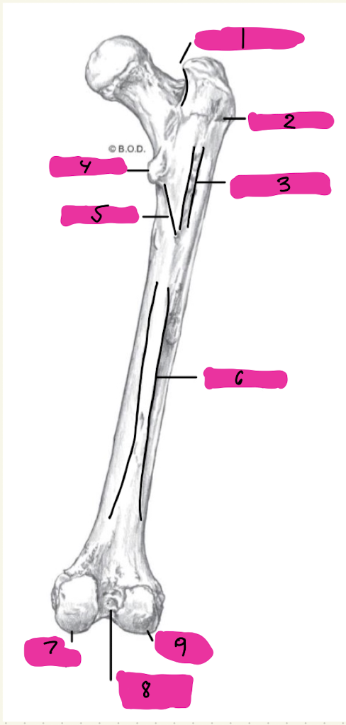 <p>1</p>