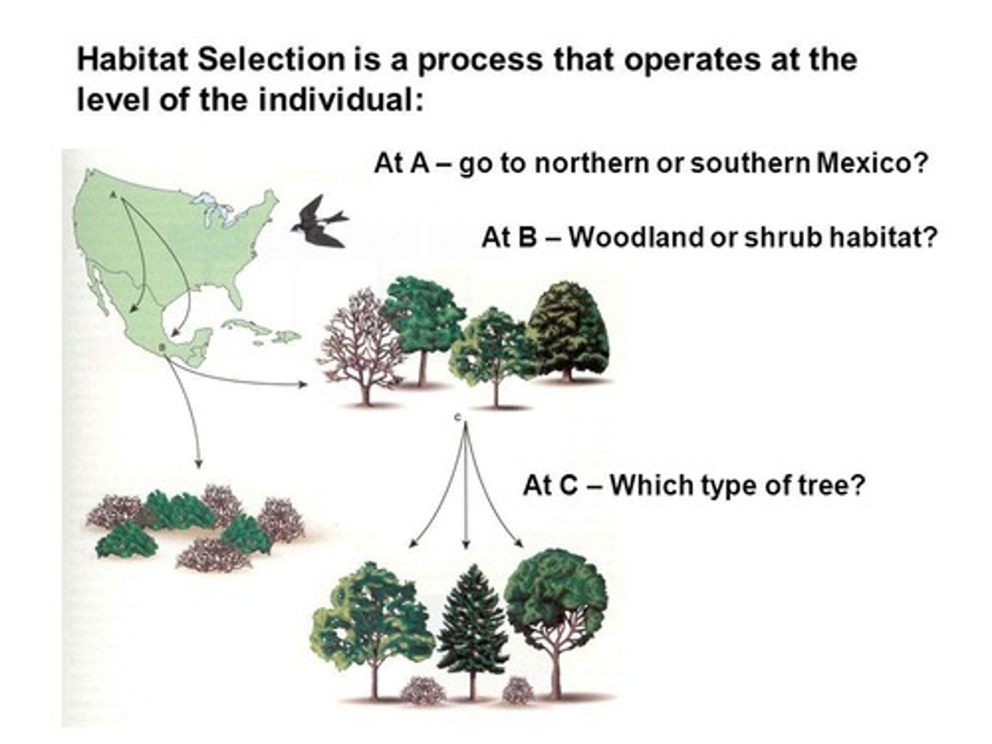 <p>By recognizing landmarks that can be stored in memory for later journeys.</p>