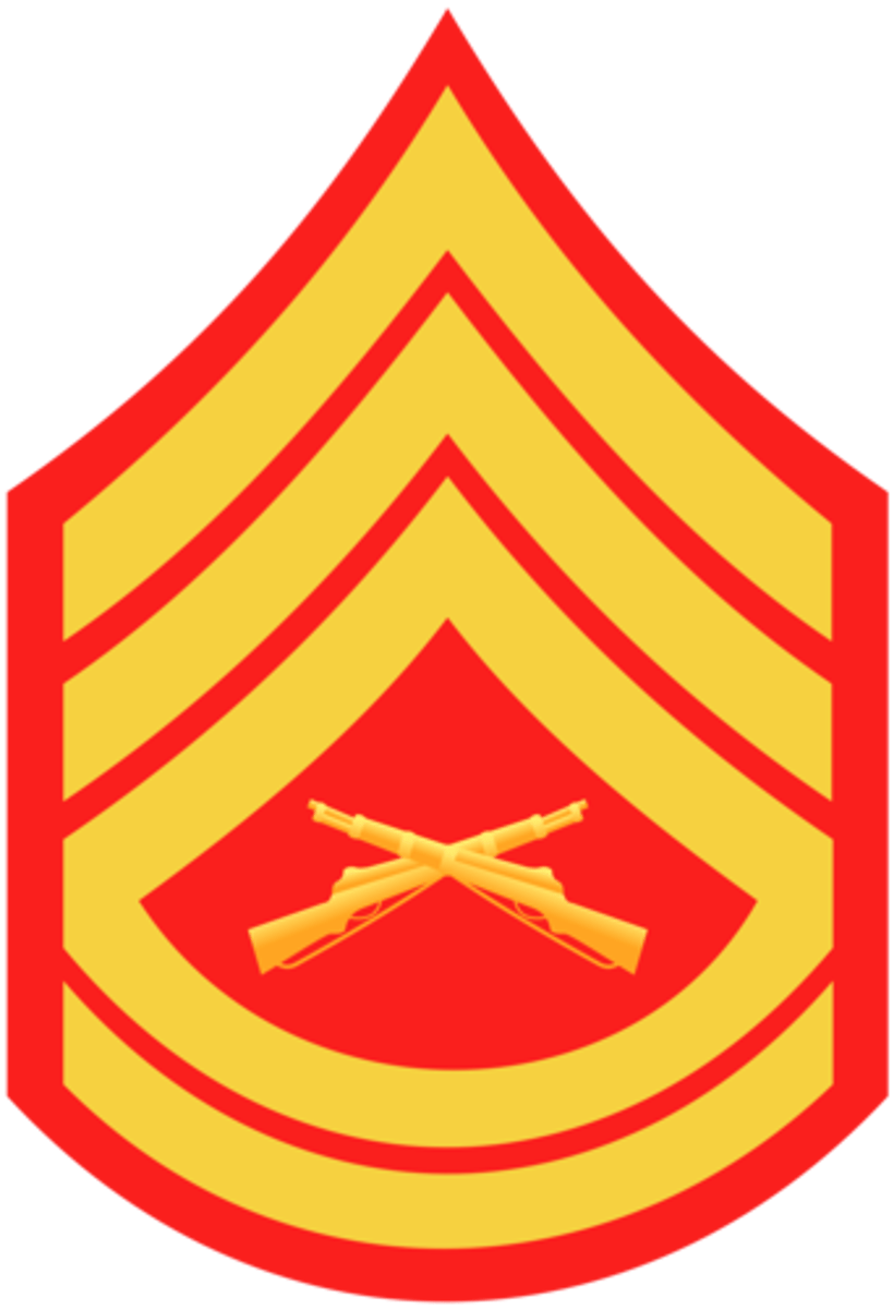 <p>DEFINITION</p><p>Gunnery Sergeant</p>