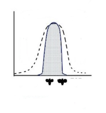 <p>Was ist das für ein Selektionstyp und wo herrscht Selektionsdruck</p>