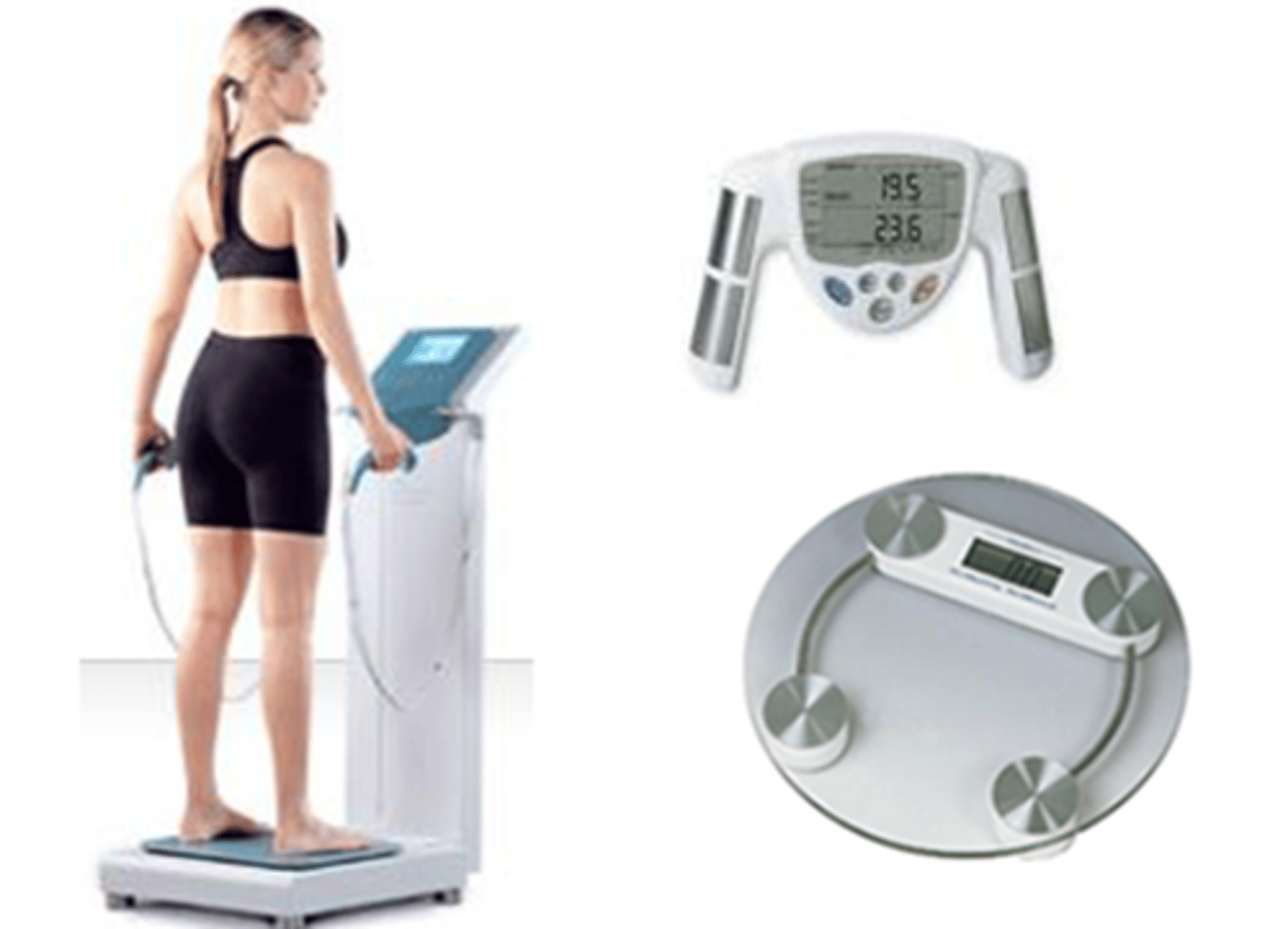 <p>total body water measured by current resistance in the body.</p><p>Then regression equation is used to estimate body fat​</p>