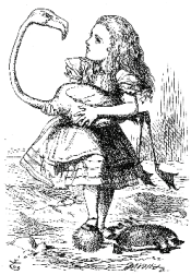 <p>Label the Illustrator</p>