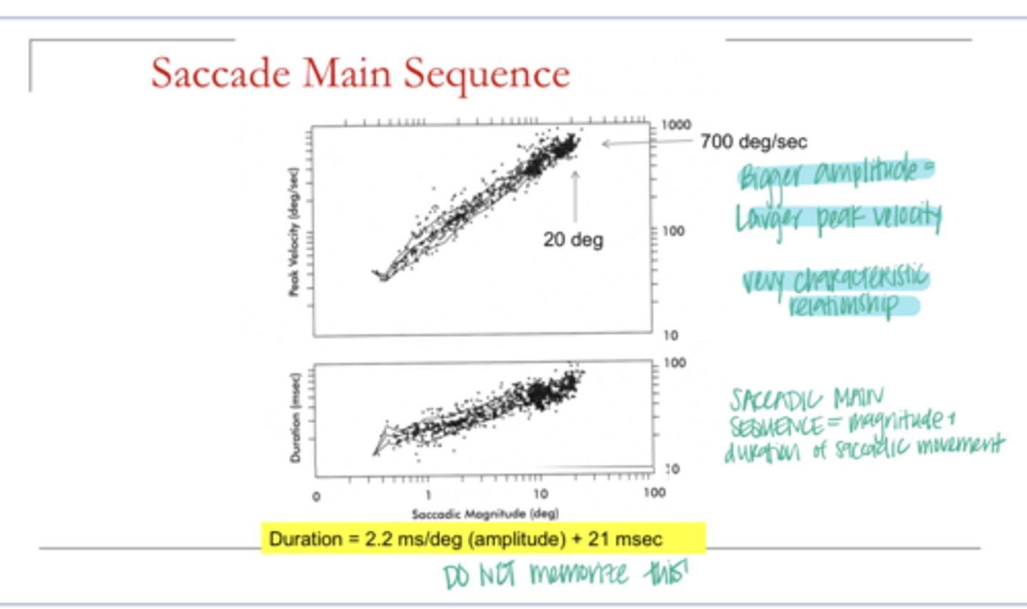 <p>What comprises the saccade main sequence?</p>