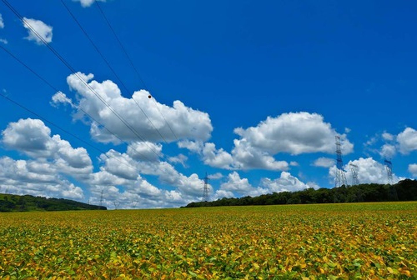 <p>The weather is good/warm</p>