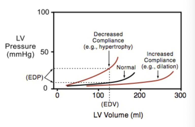 <p>Ventricular hypertrophy decreases compliance and decreases the volume in the ventricle at a given EDP - this decreases sarcomere stretch</p>