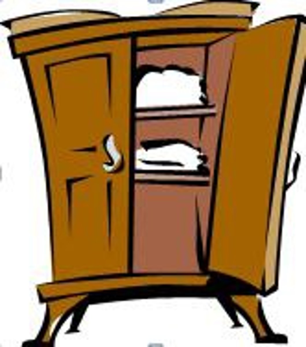 <p>der Schrank</p>