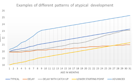 <ul><li><p>typical —> steady increase in capability</p></li><li><p>delay —> starts at same ability level, but gap increases due to ability not developing at the same rate</p></li><li><p>delay with catch-up —> child initially doesn’t develop at the same rate, but ability level eventually increases</p></li><li><p>lower starting point —> starts from lower ability level, so develops at same rate as typical, but isn’t catching up</p></li><li><p>advanced —> develops ability at a faster rate than typical</p></li><li><p>developmental regression —> period where a particular skill initially develops along a typical trajectory, but skill is eventually diminished/lost</p></li></ul><p></p>