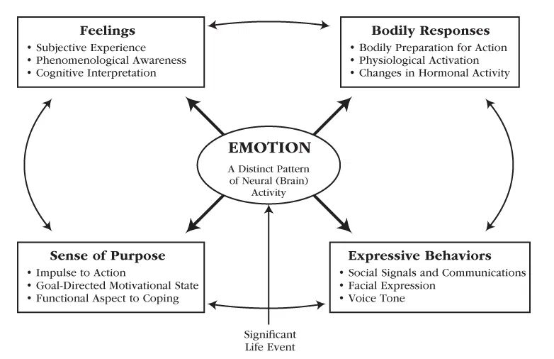 <p>Emotional Motivation</p>