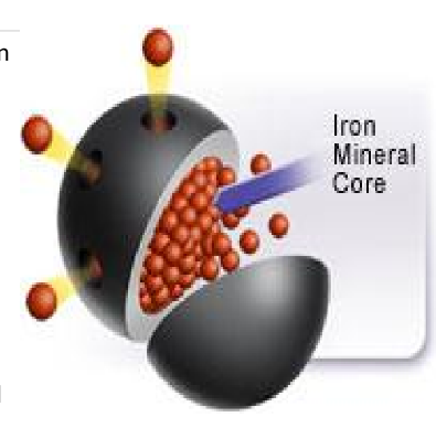 <p>Hemosiderin</p>