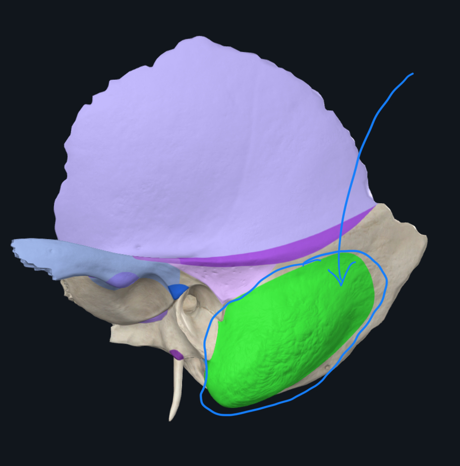 <p>What is this?</p>
