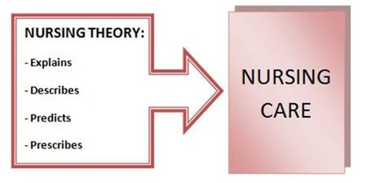<p>They provide a systematic view of explaining, predicting, and prescribing nursing care.</p>