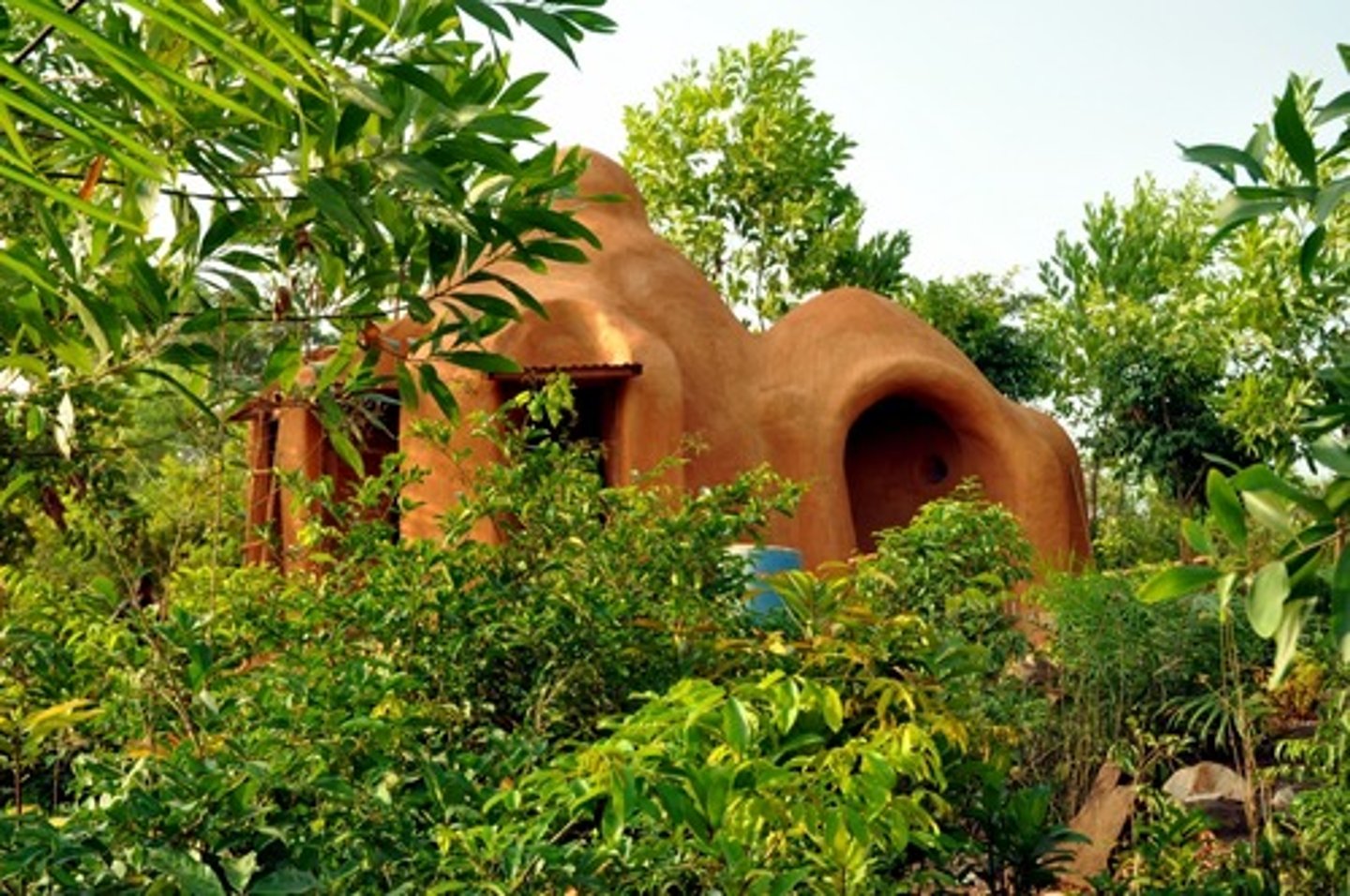 <p>an eco-friendly holiday.</p>