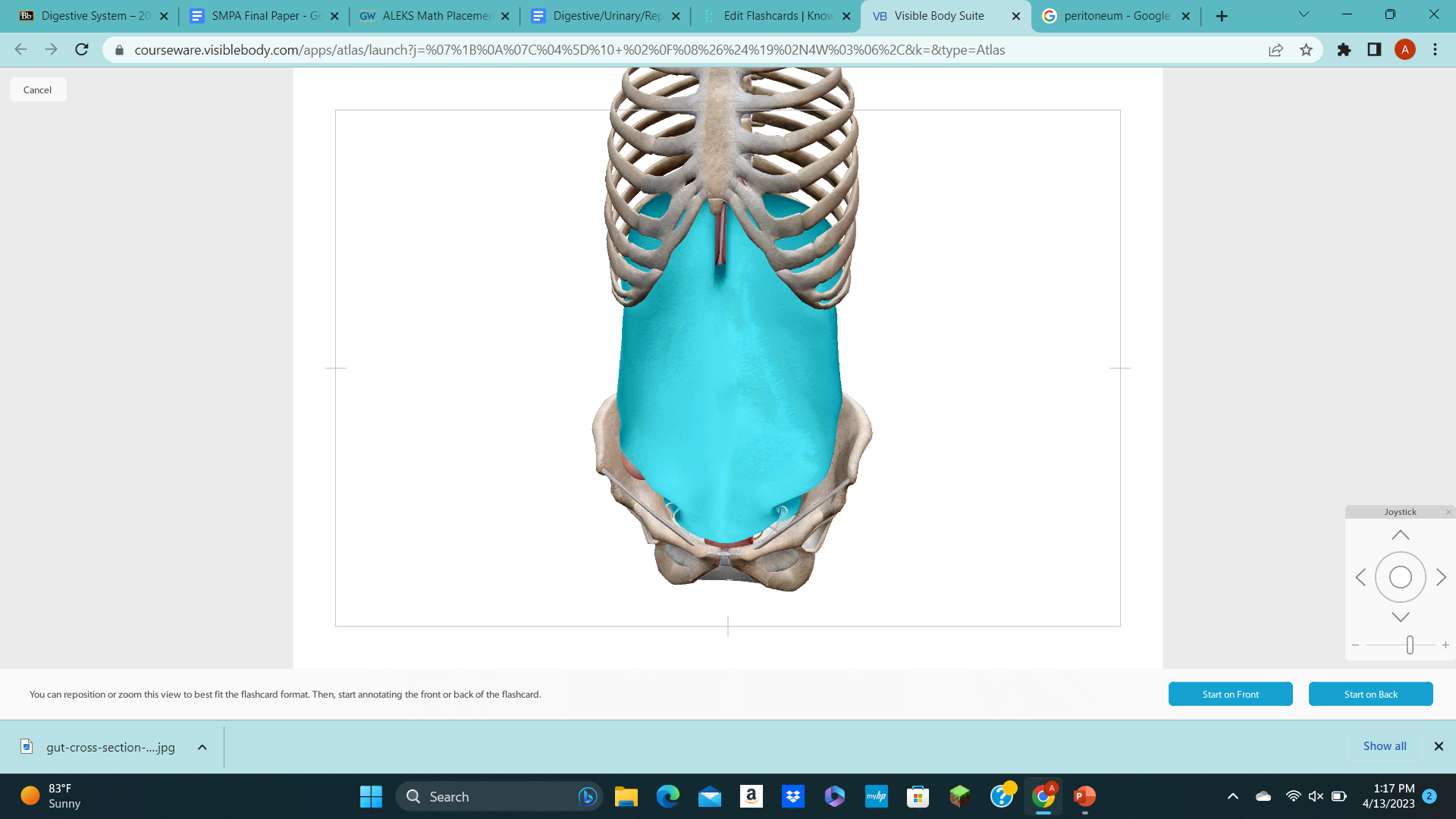 knowt flashcard image