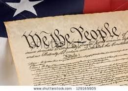 <p><span>A document which spells out the principles by which a government runs and the fundamental laws that govern a society</span></p>