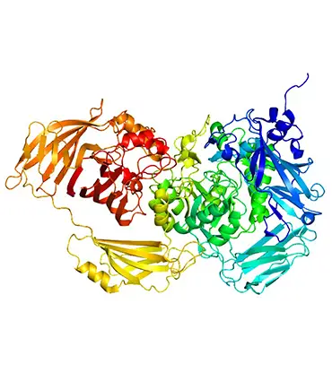 <p>Proteins (mostly) that catalyze chemical reactions.</p>
