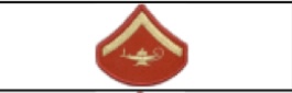 <p>1 Chevron &amp; Lamp of Learning </p>