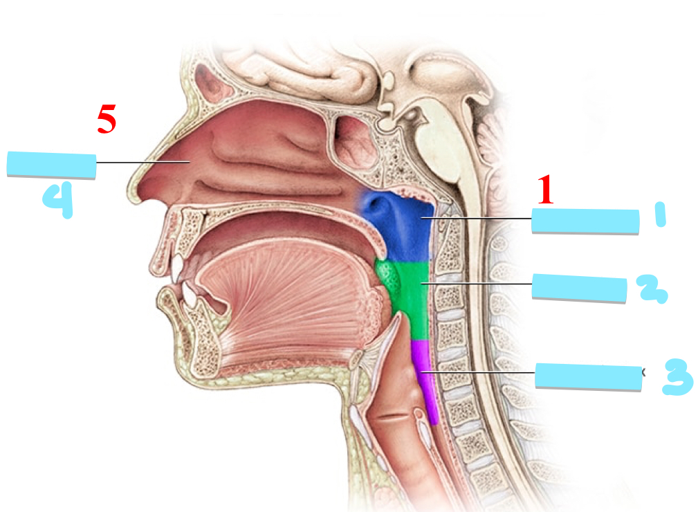 <p>4</p>