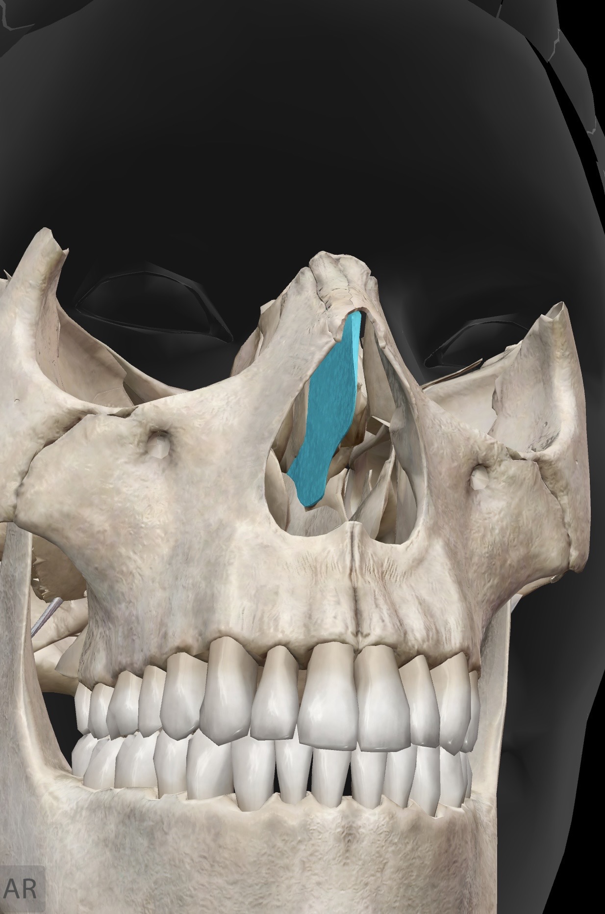 <p>What is this and what is its function?</p>