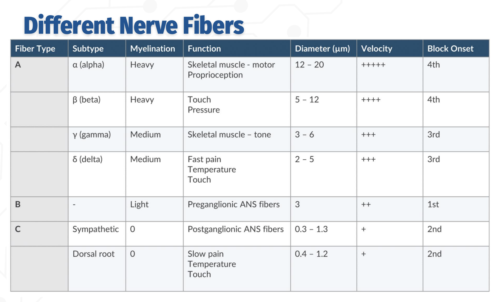 <p>Order of nerve blocks - in detail</p>