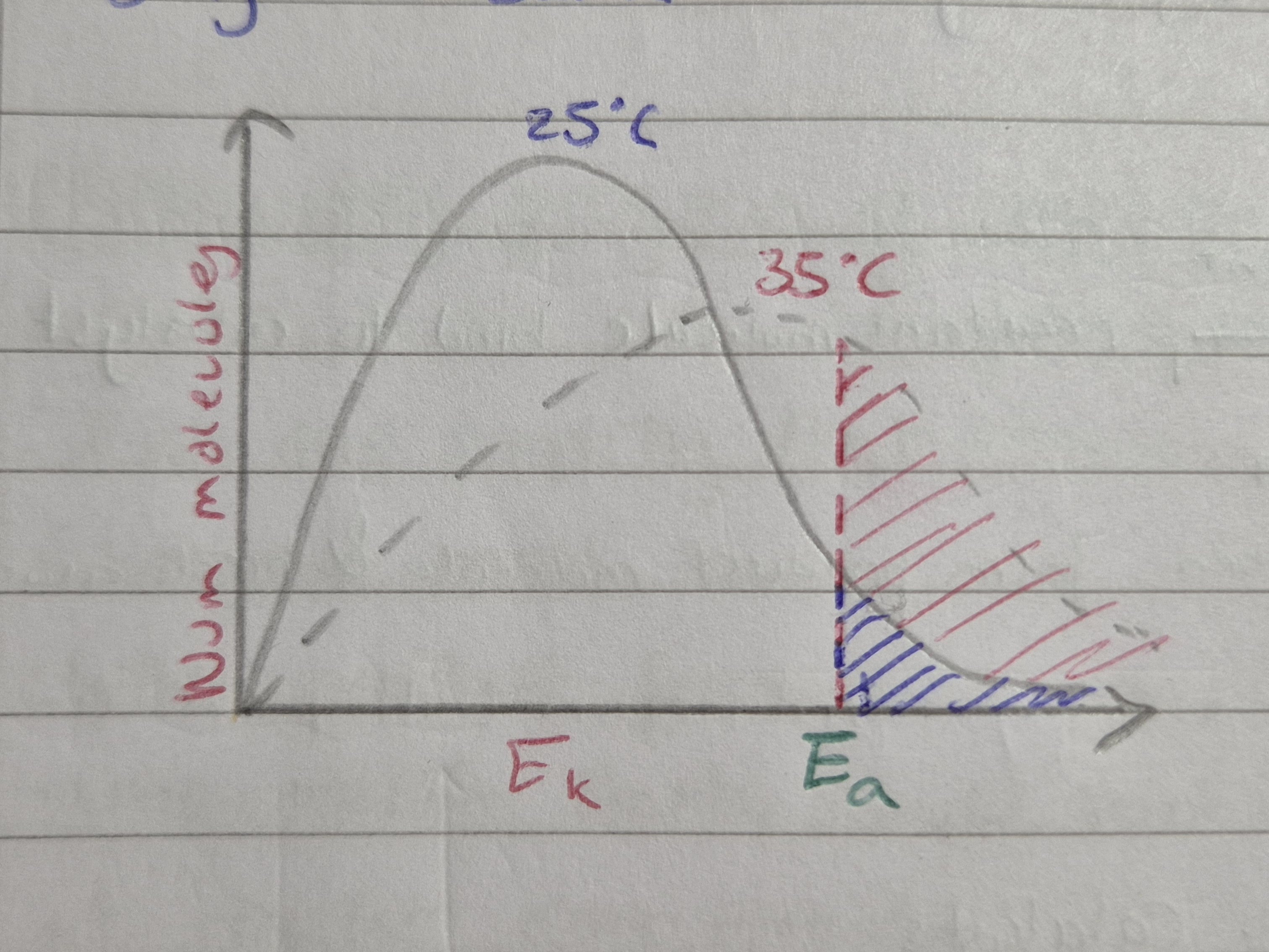 <ul><li><p>Increase temp = molecules on average have more E<sub>k</sub> therefore greater proportion of molecules will have at least activation energy required to react</p></li><li><p>For Boltzmann, same num molecules = area under graph same</p></li></ul><p></p>