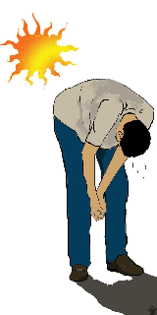 <p>condition in which the body becomes heated to a higher temperature than normal</p><p>causes: exercising or working in hot, humid place when heavy sweating causes loss of body fluids</p>