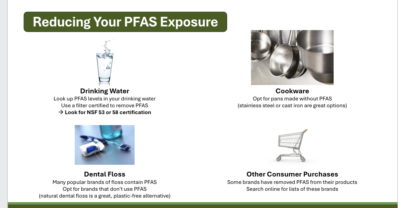 <p>Definition: a class of forever chemicals (never break down) used in numerous consumer (drinking water and floss) and industrial products (food containers, carpet, paint, nonstick pans)</p><p>2 most studied types: <span><span>Perfluorooctanoic Acid (</span></span>PFOA) and <span><span>Perfluorooctaneb Sulfonate</span></span> (PFOS). These have been replaced in the US by other PFAS w/ unknown toxicity </p><ul><li><p>they primarily target the ENDOCRINE system </p><ul><li><p>thyroid, pituitary gland, adrenal gland, adipose tissues, ovaries, melatonin, cortisol</p></li></ul></li></ul><p></p>