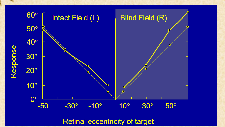 <p>pointing to a stimulus in visual feild. shows some information is gettin into the higher order processing even with the lesion in the primary visual cortex.</p>