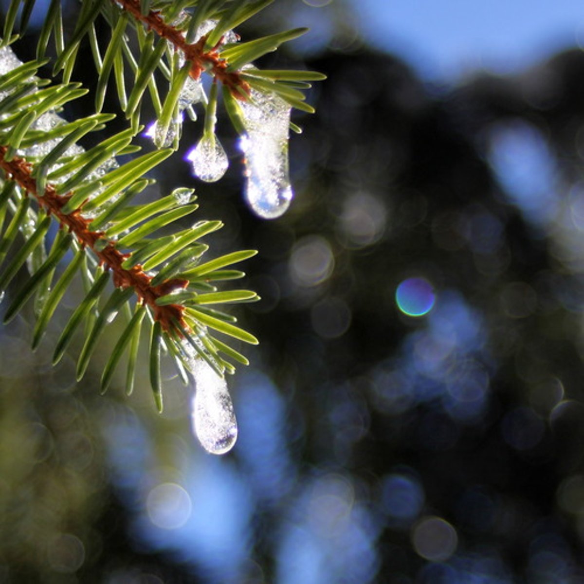 <p>відлига</p>