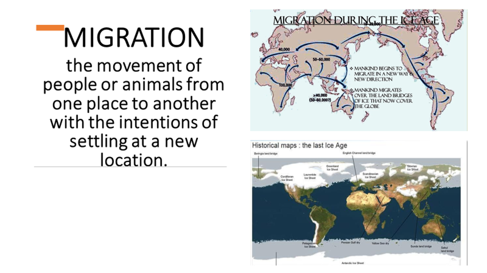 <p>Migration</p>