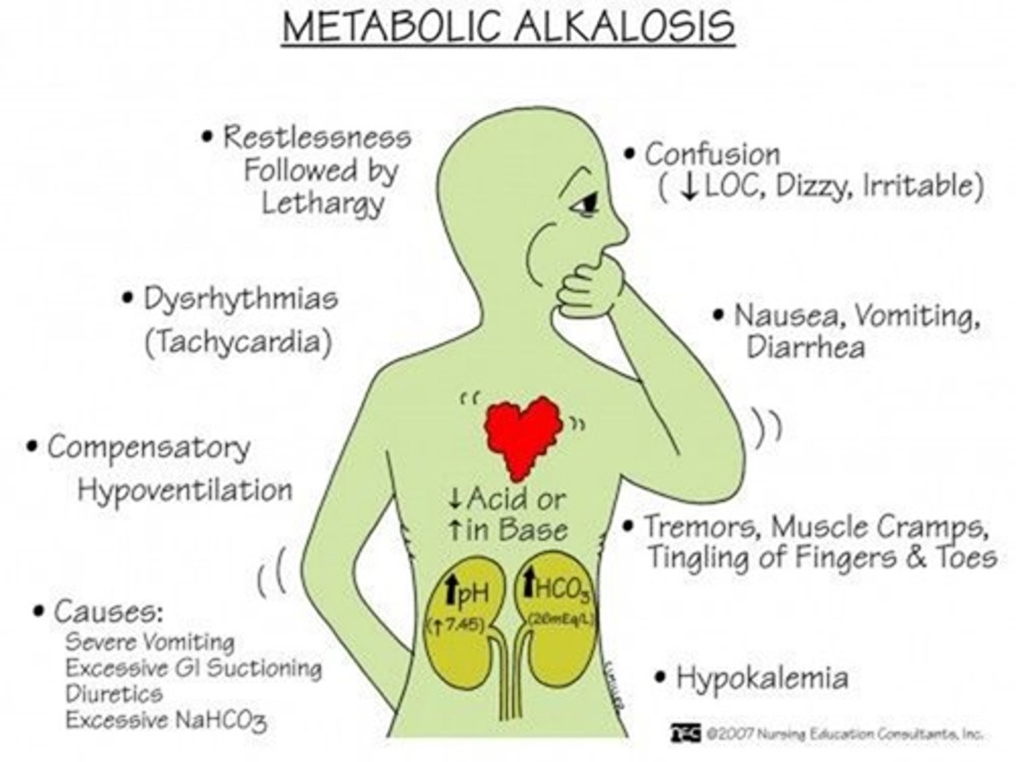<p>elevation of HCO3- usually caused by an excessive loss of metabolic acids</p>