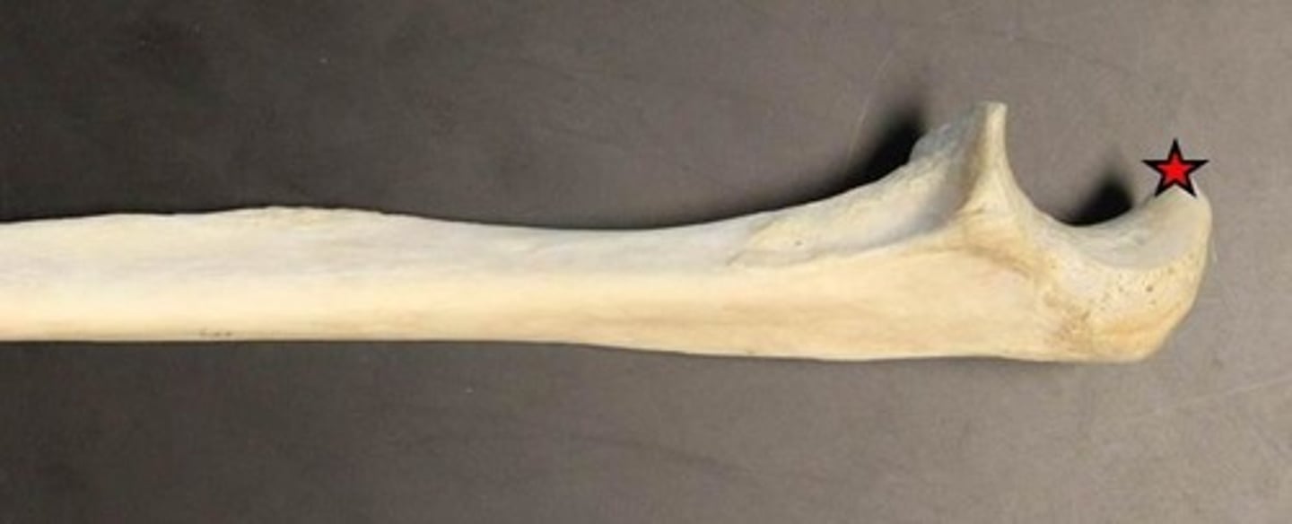 <p>ID structure indicated by star</p>