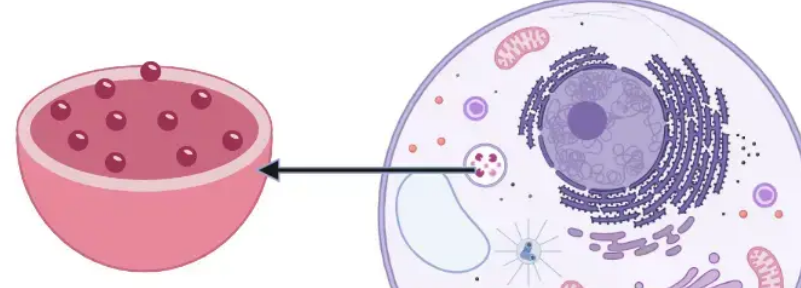 <p>What is this?</p>