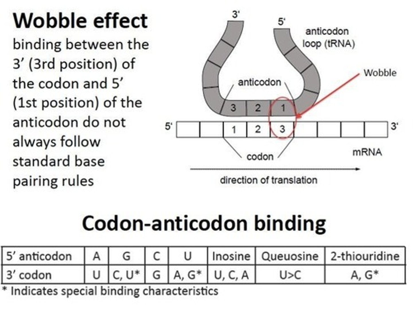<p>The ability of the third base in a codon to vary without affecting the amino acid specified. (3rd AntiCodon x 1st Codon)</p>
