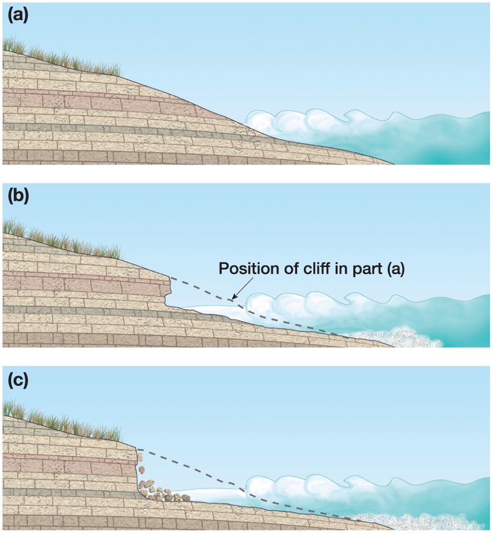 <p><span>the wave action cuts into the rock layers at the shoreline. They erode back into a cliff</span></p>