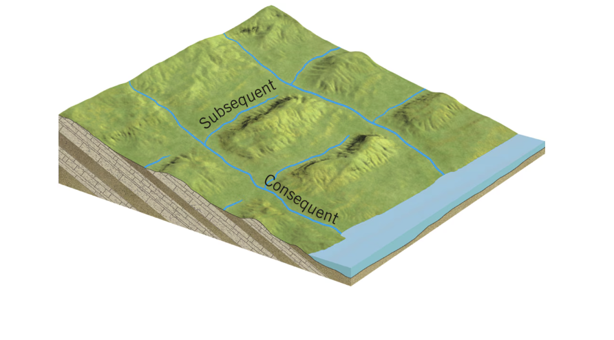 <p>normally the first to develop on newly uplifted land, and many streams remain consequent throughout their evolutionary development</p>