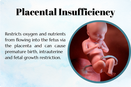 <p>Placental Insufficiency</p>