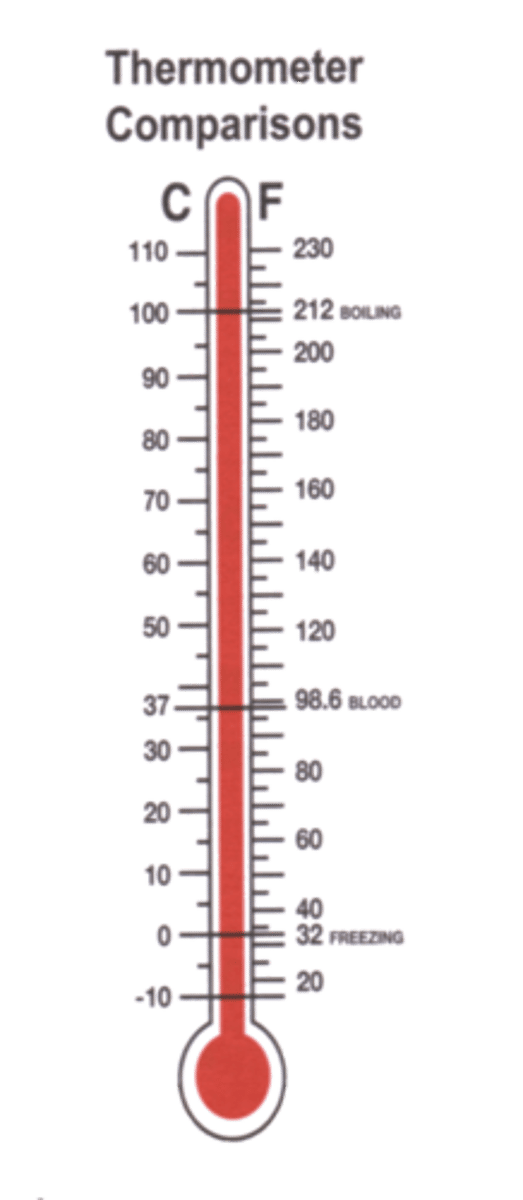 <p>Measured using Celsius thermometer</p>