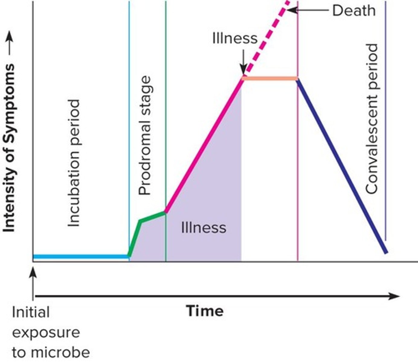 <p>Period after pathogen entry, before signs and symptoms appear.</p>