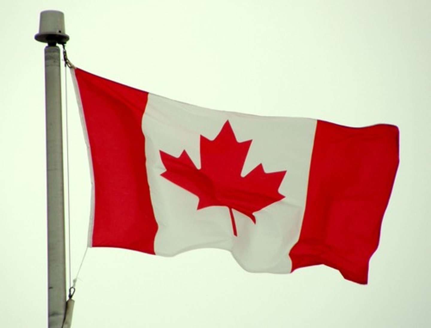 <p>Canada</p>