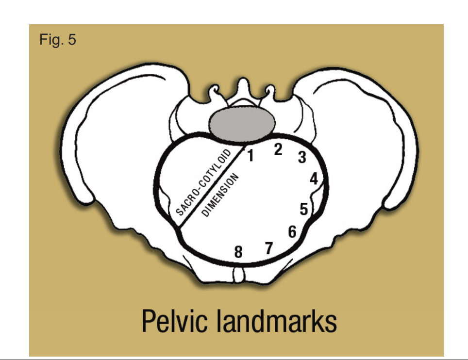 <p>note down all the landmarks 1-8</p>