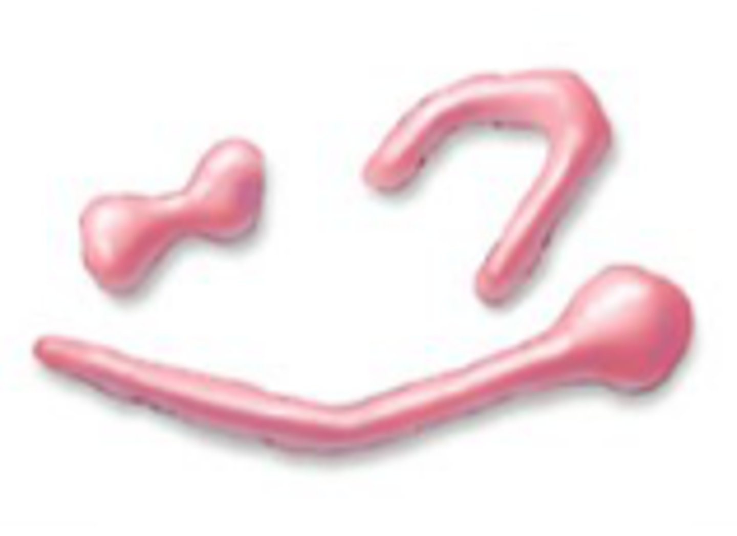 <p>vary in shape and size</p>