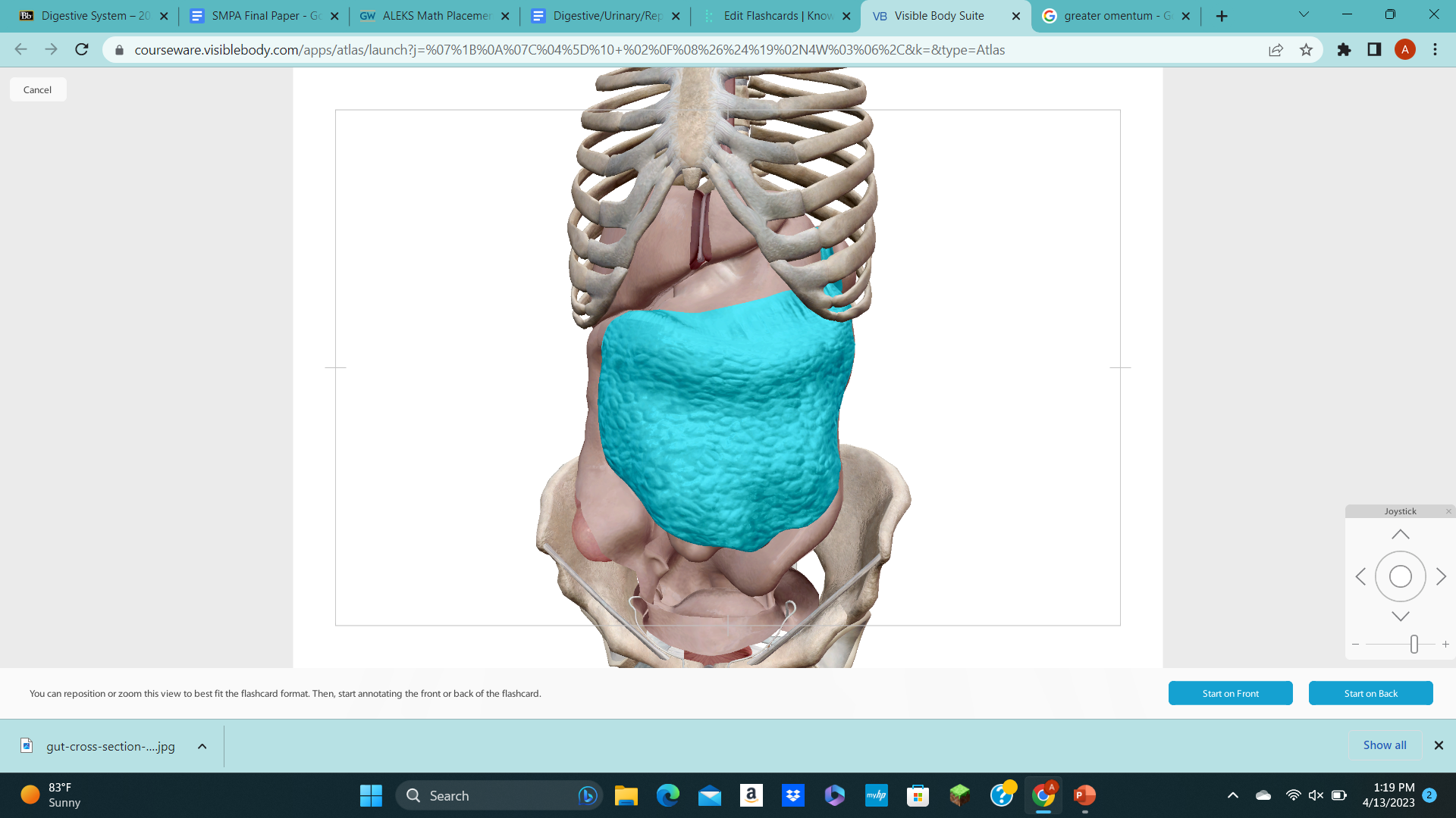 knowt flashcard image