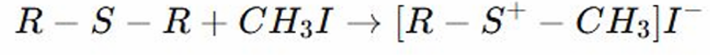<p>REACTION OF THIOETHERS:</p><ul><li><p>Sulfur donates electrons to the alkyl halide (iodomethyl), forming a sulfonium salt. </p></li><li><p>The sulfur atom in the thioether reacts with iodomethyl, adding a methyl group to the sulfur, and forming a sulfonium salt.</p></li></ul><p></p>