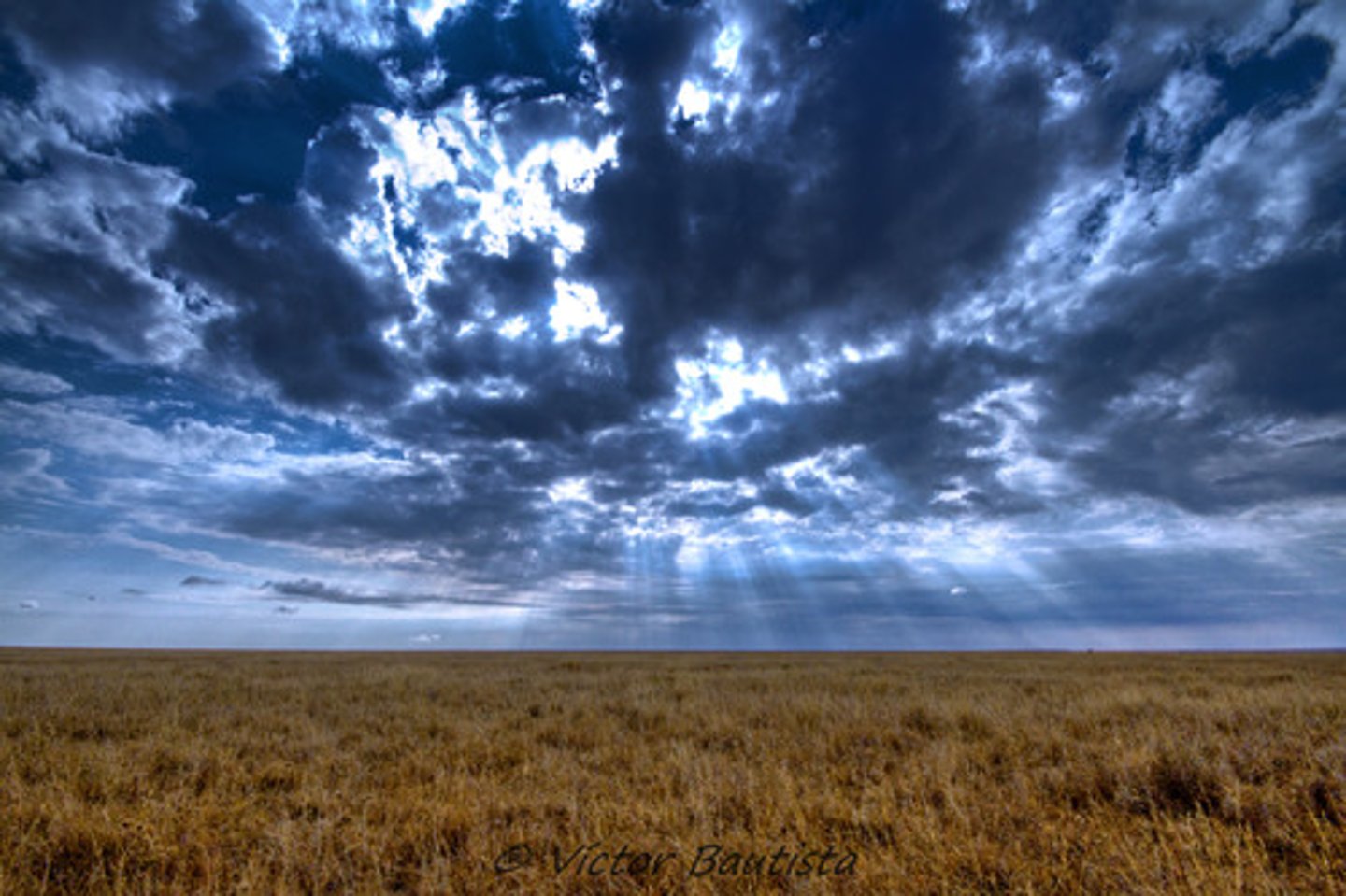 <p>plains, fields</p>