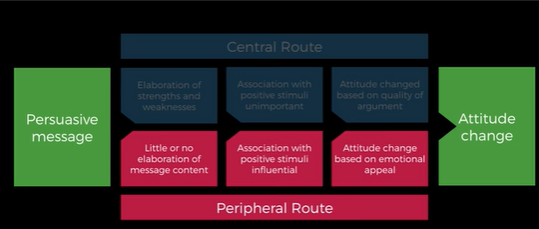 <p>-Dual process model<br>-Central route<br>-Peripheral route</p><p></p>