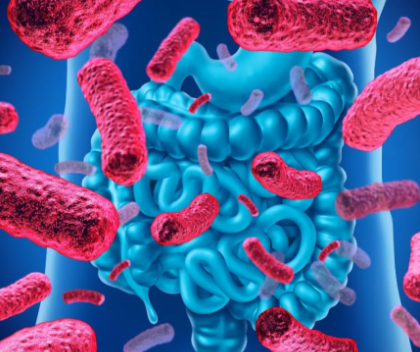 A poison made by certain bacteria, plants, or animals, including insects