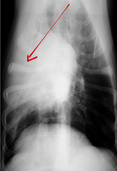 <p>General condition? </p>