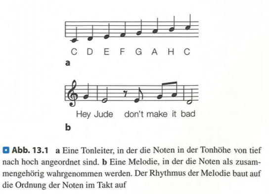 <p class=""><strong>Kurzversion:</strong><br>Musik ist ein universelles, emotional bedeutungsvolles Phänomen, das über Tonhöhe, Rhythmus, Klangfarbe, Melodie und Harmonie wirkt. Sie stärkt soziale Bindung, weckt Emotionen, animiert zur Bewegung und aktiviert Erinnerungen. Ihre evolutionäre Funktion ist umstritten – möglicherweise diente sie Partnerwahl, sozialem Zusammenhalt oder entsprang reinem Vergnügen.</p><p class=""></p><p class=""><strong>Langversion:</strong></p><ul><li><p class=""><strong>Definition und Wahrnehmung:</strong><br>Musik wird schwer fassbar beschrieben – von Meyer als „emotionale Konversation“, von Varèse als „organisierter Klang“. Wikipedia und andere fassen Musik ähnlich auf, doch greifbarer sind ihre <strong>Grundelemente</strong>:</p><ul><li><p class=""><strong>Tonhöhe:</strong> „Hoch“ oder „tief“ – Grundlage für Melodien.</p></li><li><p class=""><strong>Melodie:</strong> Strukturierte Tonfolge, die als Einheit wahrgenommen wird.</p></li><li><p class=""><strong>Zeitliche Ordnung:</strong> Rhythmus, Metrum, Taktstruktur.</p></li><li><p class=""><strong>Klangfarbe:</strong> Charakter der Instrumente/Stimmen.</p></li><li><p class=""><strong>Harmonie:</strong> Zusammenklang von Tönen – konsonant/dissonant.</p></li></ul></li></ul><p class=""></p><ul><li><p class=""><strong>Emotion und Bewegung:</strong><br>Musik ruft <strong>starke Emotionen</strong> hervor, aktiviert <strong>Erinnerungen</strong> und motiviert zu <strong>Bewegung</strong> (z. B. Tanzen). Dadurch prägt sie das Leben tiefgreifend – im Sinne von Nietzsches Zitat: „Ohne Musik wäre das Leben ein Irrtum.“</p></li></ul><p class=""></p><ul><li><p class=""><strong>Musik als biologische Anpassung?</strong></p><ul><li><p class="">Darwin: Musik war <strong>Vorläufer der Sprache</strong> und diente der <strong>Partnerwahl</strong>.</p></li><li><p class="">Pinker: Musik ist ein <strong>Nebenprodukt</strong> („auditory cheesecake“) – sie nutzt bestehende Hirnmechanismen, ohne selbst adaptiv zu sein.</p></li><li><p class="">Gegenposition: Musik stärkt <strong>soziale Bindung</strong> und <strong>Kooperation</strong> – ein potenzieller <strong>evolutionärer Vorteil</strong>, da kollektives Musizieren exklusiv menschlich ist.</p></li></ul></li></ul><p class=""></p><ul><li><p class=""><strong>Evidenz für kulturelle Universalität:</strong></p><ul><li><p class="">Archäologische Funde: Musik existiert seit mindestens <strong>30.000–40.000 Jahren</strong>, evtl. seit <strong>100.000–200.000 Jahren</strong>.</p></li><li><p class="">Analyse von 315 Kulturen zeigt <strong>universelle Merkmale</strong>:</p><ul><li><p class="">Oktavähnlichkeit</p></li><li><p class="">Emotionserzeugung</p></li><li><p class="">Gruppierung ähnlicher Töne</p></li><li><p class="">Vorsingen für Babys</p></li><li><p class="">Synchronisierte Bewegung</p></li><li><p class="">Soziale Performanz</p></li></ul></li></ul></li></ul><p class=""></p><p class=""><span data-name="arrow_right" data-type="emoji">➡</span> <strong>Fazit:</strong> Auch wenn ihre ursprüngliche Funktion nicht eindeutig ist, macht Musik durch ihre <strong>emotionale Kraft, soziale Bedeutung und kognitive Verarbeitung</strong> einen <strong>zentralen Bestandteil menschlicher Existenz</strong> aus.</p>