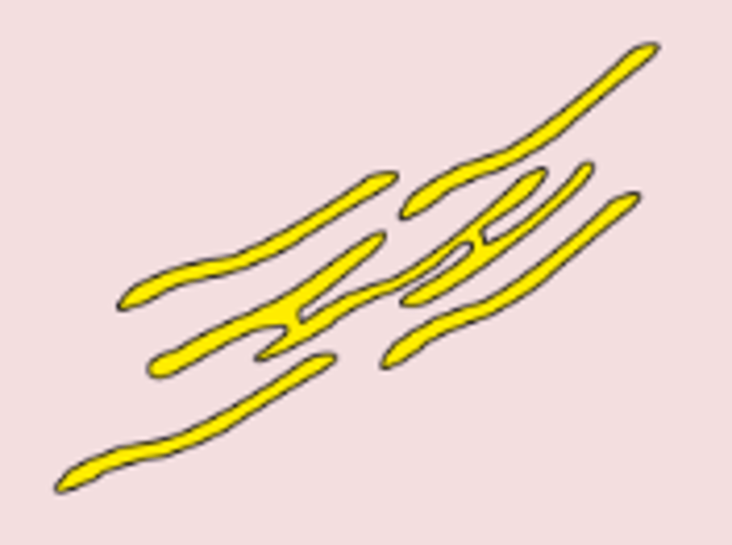 <p>Synthesises and processes lipids</p>